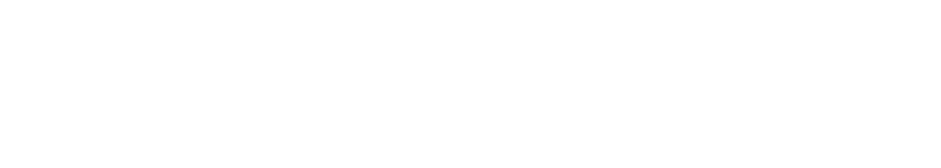 Transportes Martillo